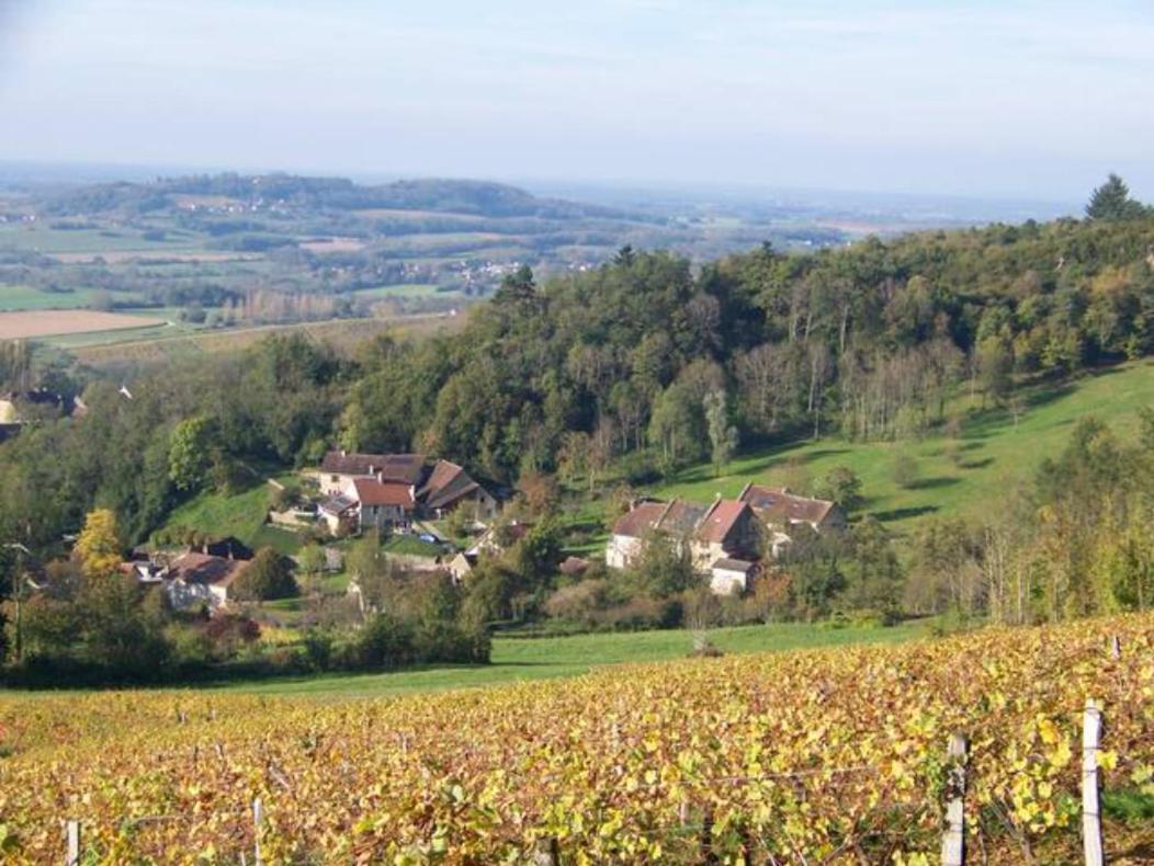 Maison Du Rostaing Passenans Luaran gambar